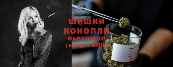 СК Вяземский