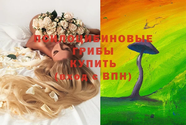 СК Вяземский