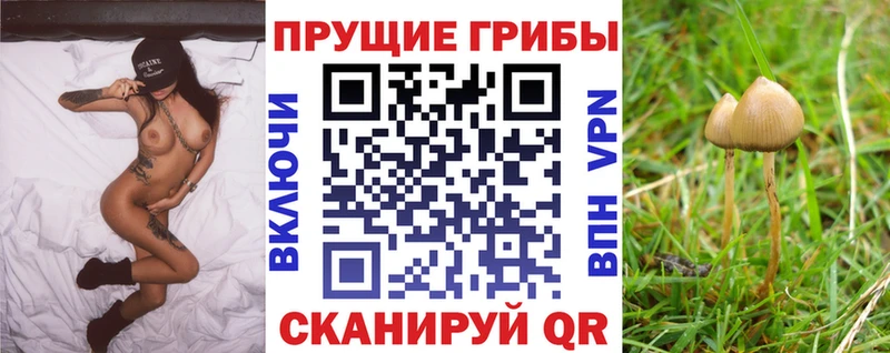 Псилоцибиновые грибы мухоморы  Купить закладки  Краснознаменск 
